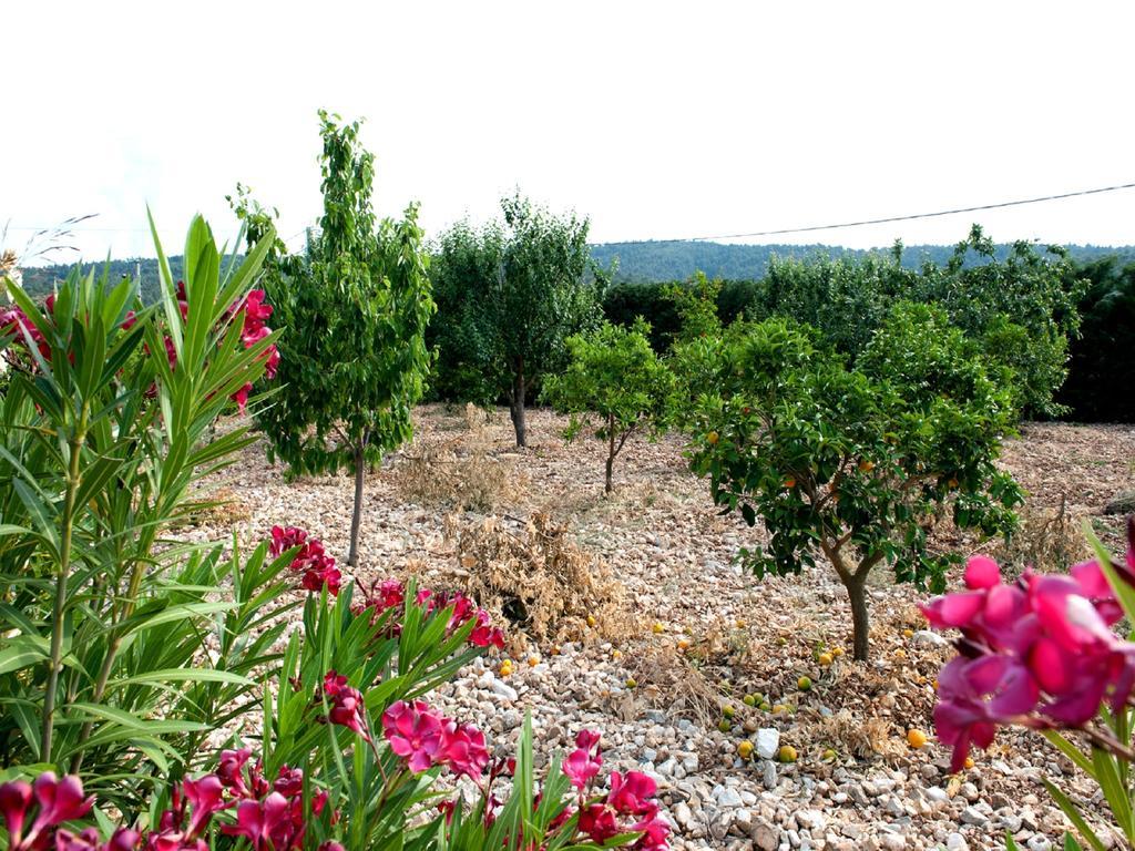 B&B La Formichina Peschici Esterno foto