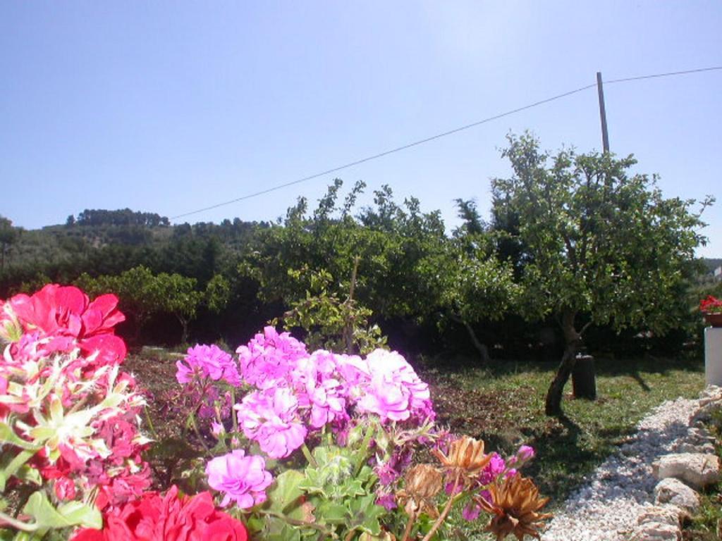 B&B La Formichina Peschici Esterno foto